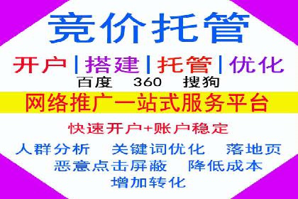 行业案例分析：sem账户托管的成功与挑战